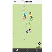 DOGTRA  GPS электроошейник с пультом для охотничьих собак Pathfinder Special Edition