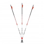 CARBON EXPRESS стрелы для лука Maxima Triad, 12 шт.