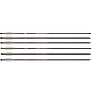 BENJAMIN стрелы для стреломета Airbow arrows, 6 шт. BENJAMIN стрелы для стреломета Airbow arrows, 6 шт.