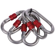 CAMP Комплект карабинов Oval Standard Lock 5 Pack
