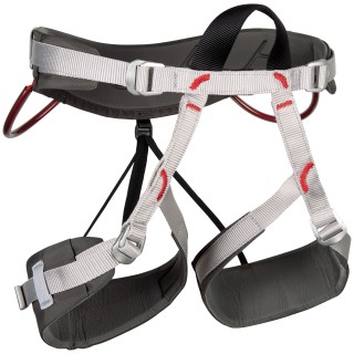 CAMP Беседка Energy Team CAMP Беседка Energy Team