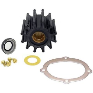JOHNSON PUMP Ремнабор Service Kit for F4B JOHNSON PUMP Ремнабор Service Kit for F4B
