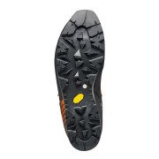 SCARPA Альпинистские ботинки Mont Blanc Pro GTX