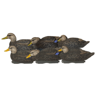 GHG DECOY SYSTEMS Комплект чучел Pro-Grade XD Series Black Duck Decoys - Harvester Pack GHG DECOY SYSTEMS Комплект чучел Pro-Grade XD Series Black Duck Decoys - Harvester Pack