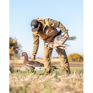 GHG DECOY SYSTEMS Комплект чучел Pro-Grade Silhouette Specklebelly Goose Decoys GHG DECOY SYSTEMS Комплект чучел Pro-Grade Silhouette Specklebelly Goose Decoys
