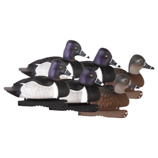 GHG DECOY SYSTEMS Комплект чучел Pro-Grade Ring-Necked Duck Decoys GHG DECOY SYSTEMS Комплект чучел Pro-Grade Ring-Necked Duck Decoys