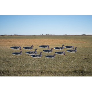 GHG DECOY SYSTEMS Комплект чучел Pro-Grade Specklebelly Goose Sock Decoys GHG DECOY SYSTEMS Комплект чучел Pro-Grade Specklebelly Goose Sock Decoys