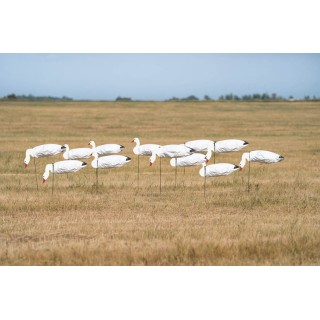 GHG DECOY SYSTEMS Комплект чучел Pro-Grade Snow Goose Sock Decoys GHG DECOY SYSTEMS Комплект чучел Pro-Grade Snow Goose Sock Decoys
