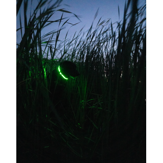 AVERY Ошейник Lighted Collar AVERY Ошейник Lighted Collar