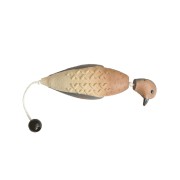 AVERY Тренировочный муляж EZ Bird