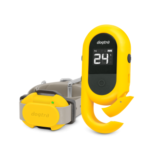 DOGTRA Электроошейник с пультом для тренировки собак Cue DOGTRA Электроошейник с пультом для тренировки собак Cue