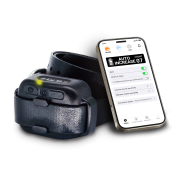 DOGTRA Антилай Smart NoBark