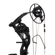 BEAR ARCHERY Охотничий лук Paradigm RTH Compound Bow — Black