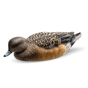 RIG'EM RIGHT Чучела свиязи Mainline Series™ Wigeon
