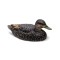 RIG'EM RIGHT Чучела уток Mainline Series™ Black Ducks RIG'EM RIGHT Чучела уток Mainline Series™ Black Ducks