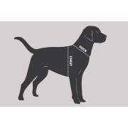 TANGLEFREE Жилет для собак Dog Vest