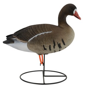 TANGLEFREE Чучела белолобых гусей Pro Series Specklebelly Full Body Combo — 6 штук TANGLEFREE Чучела белолобых гусей Pro Series Specklebelly Full Body Combo — 6 штук