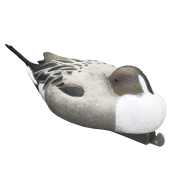 TANGLEFREE Чучела шилохвости Magnum Pintail Decoys — 6 штук