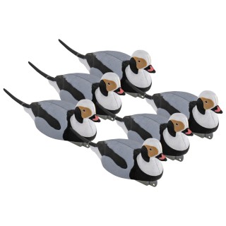 TANGLEFREE Чучела морянки Migration Edition Longtail — 6 штук TANGLEFREE Чучела морянки Migration Edition Longtail — 6 штук