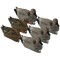 TANGLEFREE Чучела серой утки Pro Series Gadwall — 6 штук TANGLEFREE Чучела серой утки Pro Series Gadwall — 6 штук
