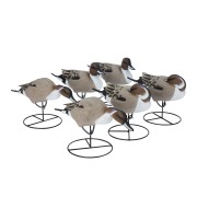 TANGLEFREE Чучела шилохвости Pro Series Full Body Pintail — 6 штук