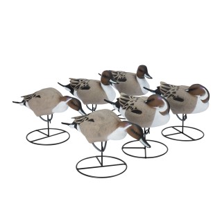 TANGLEFREE Чучела шилохвости Pro Series Full Body Pintail — 6 штук TANGLEFREE Чучела шилохвости Pro Series Full Body Pintail — 6 штук