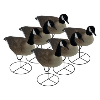 TANGLEFREE Флокированные чучела канадских гусей Pro Series Canada Goose Full Body Uprights — 6 штук TANGLEFREE Флокированные чучела канадских гусей Pro Series Canada Goose Full Body Uprights — 6 штук