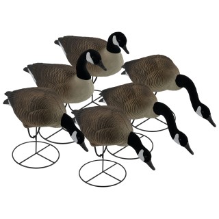 TANGLEFREE Флокированные чучела канадских гусей Pro Series Full Body Canada Goose Combo — 6 штук TANGLEFREE Флокированные чучела канадских гусей Pro Series Full Body Canada Goose Combo — 6 штук