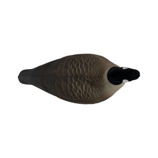 TANGLEFREE Флокированные чучела канадских гусей Pro Series Full Body Canada Goose Combo — 6 штук TANGLEFREE Флокированные чучела канадских гусей Pro Series Full Body Canada Goose Combo — 6 штук