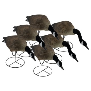 TANGLEFREE Флокированные чучела кормящихся канадских гусей Pro Series Full Body Canada Goose Feeders — 6 штук TANGLEFREE Флокированные чучела кормящихся канадских гусей Pro Series Full Body Canada Goose Feeders — 6 штук