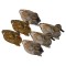 TANGLEFREE Чучела серой утки Flight Gadwall — 6 штук TANGLEFREE Чучела серой утки Flight Gadwall — 6 штук