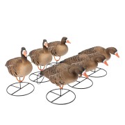 TANGLEFREE Чучела белолобых гусей Flight Series Full Body Specklebelly Goose Decoys — 6 штук