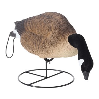 TANGLEFREE Флокированные чучела кормящихся канадских гусей Flight Full Body Canada Goose Feeders — 6 штук TANGLEFREE Флокированные чучела кормящихся канадских гусей Flight Full Body Canada Goose Feeders — 6 штук