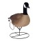 TANGLEFREE Флокированные чучела канадских гусей Flight Full Body Canada Goose Uprights — 6 штук TANGLEFREE Флокированные чучела канадских гусей Flight Full Body Canada Goose Uprights — 6 штук
