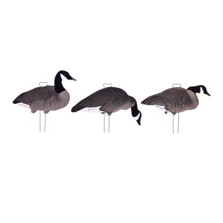 TANGLEFREE Плоские чучела канадских гусей Fully Flocked Canada Skinny Decoys — 12 штук TANGLEFREE Плоские чучела канадских гусей Fully Flocked Canada Skinny Decoys — 12 штук