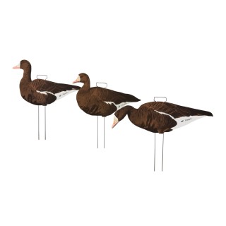 TANGLEFREE Плоские чучела белолобых гусей Fully Flocked Specklebelly Skinny Decoys — 12 штук TANGLEFREE Плоские чучела белолобых гусей Fully Flocked Specklebelly Skinny Decoys — 12 штук
