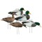 TANGLEFREE Флокированные чучела крякв Fully Flocked Mallard Skinny Decoys — 12 штук TANGLEFREE Флокированные чучела крякв Fully Flocked Mallard Skinny Decoys — 12 штук