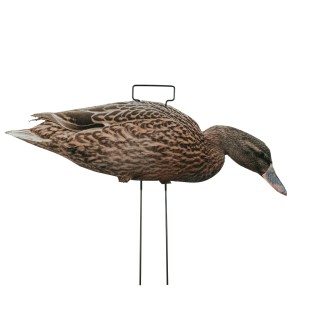 TANGLEFREE Флокированные чучела крякв Fully Flocked Mallard Skinny Decoys — 12 штук TANGLEFREE Флокированные чучела крякв Fully Flocked Mallard Skinny Decoys — 12 штук