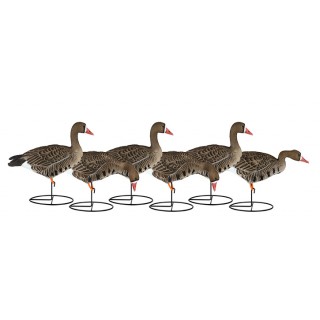 DAKOTA DECOYS сминаемые чучела белолобого гуся X-Treme Specks DAKOTA DECOYS сминаемые чучела белолобого гуся X-Treme Specks