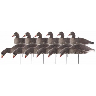 GHG DECOY SYSTEMS Комплект чучел Pro-Grade Specklebelly Shell Decoys GHG DECOY SYSTEMS Комплект чучел Pro-Grade Specklebelly Shell Decoys