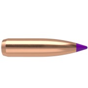 NOSLER винтовочные пули Ballistic tip hunting