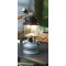 COLEMAN Светильник Dual Fuel Mantel Lantern with Hard Carry Case COLEMAN Светильник Dual Fuel Mantel Lantern with Hard Carry Case