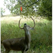 WILDLIFE RESEARCH CENTER Диспенсер для приманки Quik-Wiks