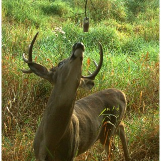 WILDLIFE RESEARCH CENTER Тампоны для приманки Pro-Wick WILDLIFE RESEARCH CENTER Тампоны для приманки Pro-Wick