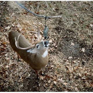 WILDLIFE RESEARCH CENTER Умный диспенсер для приманки Magnum Scrape-Dripper WILDLIFE RESEARCH CENTER Умный диспенсер для приманки Magnum Scrape-Dripper