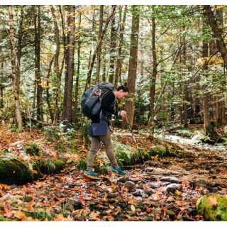 MINUS33 Кальсоны из мериносной шерсти Kancamagus Men's Midweight Bottom MINUS33 Кальсоны из мериносной шерсти Kancamagus Men's Midweight Bottom