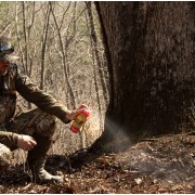 WILDLIFE RESEARCH CENTER Привлекающий спрей для охоты "Желудь Премиум" Acorn Supreme Attractant Spray