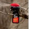 WILDLIFE RESEARCH CENTER Приманка-спрей для охоты на оленя Synthetic Estrus Spray WILDLIFE RESEARCH CENTER Приманка-спрей для охоты на оленя Synthetic Estrus Spray