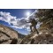 KRYPTEK Groove Belt™ KRYPTEK Groove Belt™