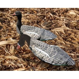 SILLOSOCK Комплект фотореалистичных флюгеров белолобого гуся Speckelbelly goose harvester pack. 12 шт. SILLOSOCK Комплект фотореалистичных флюгеров белолобого гуся Speckelbelly goose harvester pack. 12 шт.